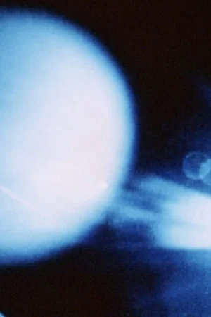 Постер: Zooscopie