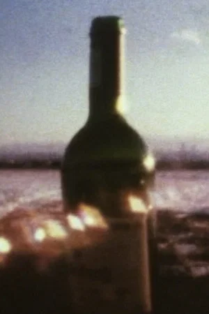 Постер: Discrepant Sight