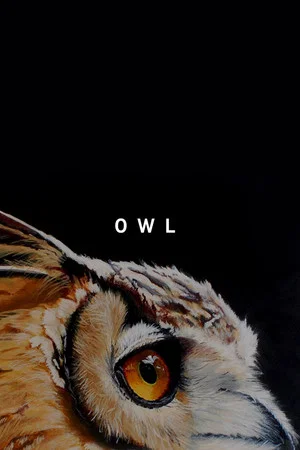 Постер: Owl