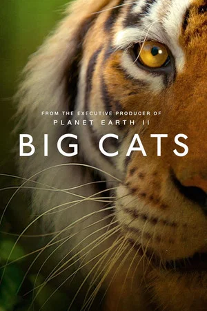 Постер: Big Cats