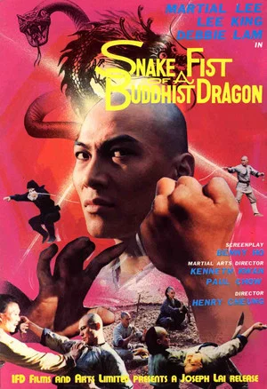 Постер: Snake Fist of the Buddhist Dragon