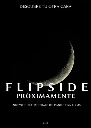 Постер: Flipside