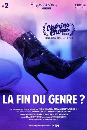 Постер: La fin du genre?