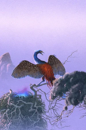Постер: Asia: Spirit Of The Night - The Phoenix Tour Live In Cambridge 2009