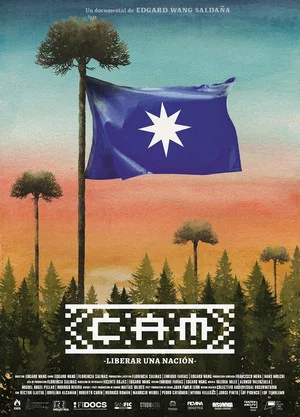 Постер: CAM: Liberated a nation