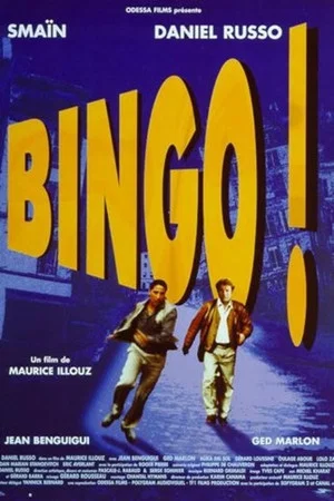Постер: Bingo !