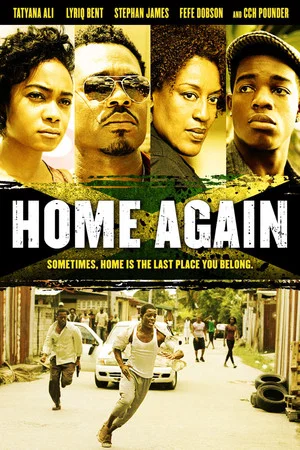 Постер: Home Again
