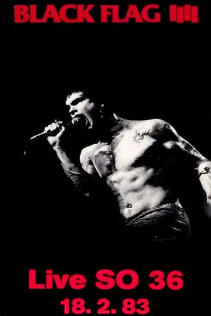 Постер: BLACK FLAG Live in Berlin