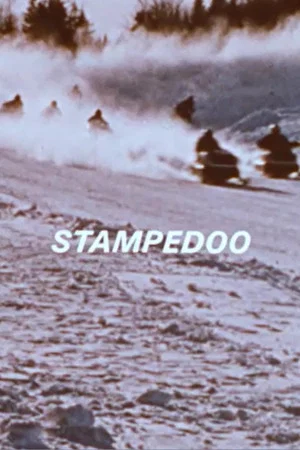 Постер: Stampedoo
