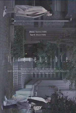 Постер: Irreversible
