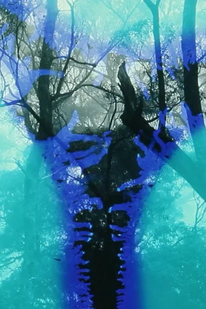 Постер: Deforest