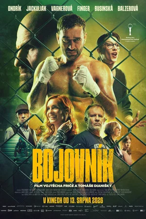 Постер: Fighter