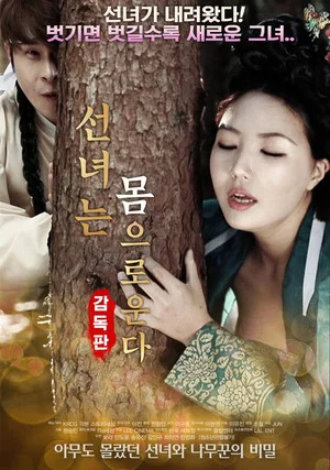 Постер: The Fairy Cries - Director's Cut