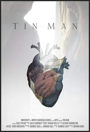 Постер: Tin Man