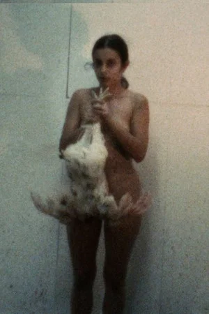 Постер: Chicken Movie, Chicken Piece