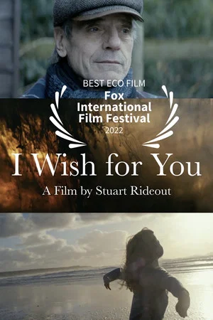 Постер: I Wish For You