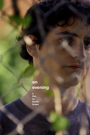 Постер: An Evening