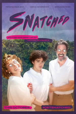 Постер: Snatched