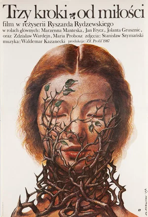 Постер: Trzy kroki od miłości