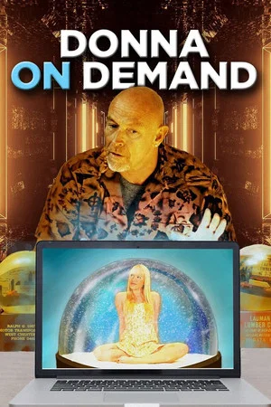 Постер: Donna on Demand