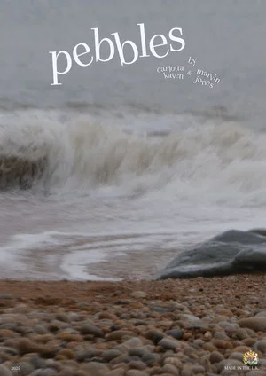 Постер: PEBBLES