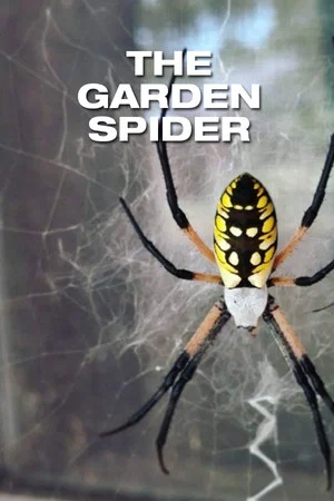 Постер: The Garden Spider