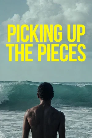 Постер: Picking Up the Pieces