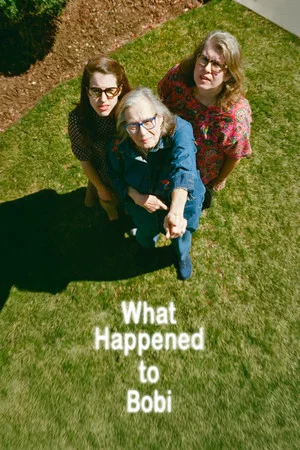 Постер: What Happened to Bobi