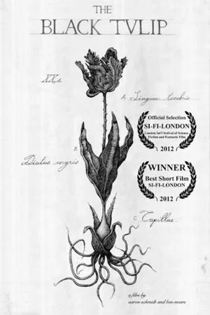 Постер: The Black Tulip