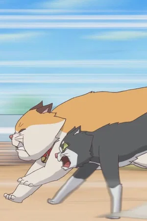 Постер: Cats Run