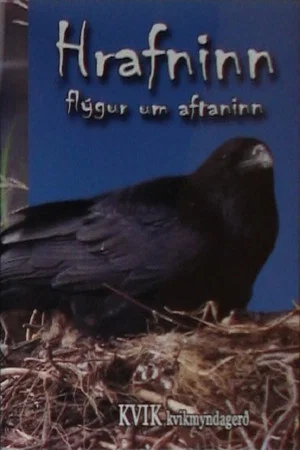 Постер: The Bird of Wisdom: The Raven