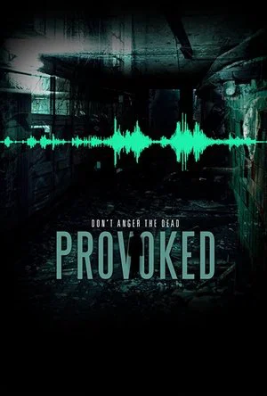 Постер: Provoked