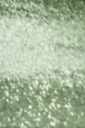 Постер: Reporting the Weather
