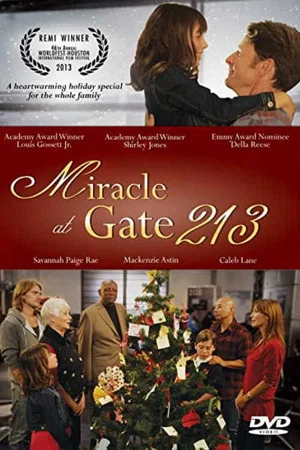 Постер: Miracle at Gate 213