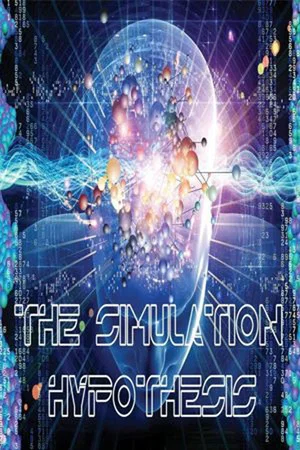 Постер: The Simulation Hypothesis