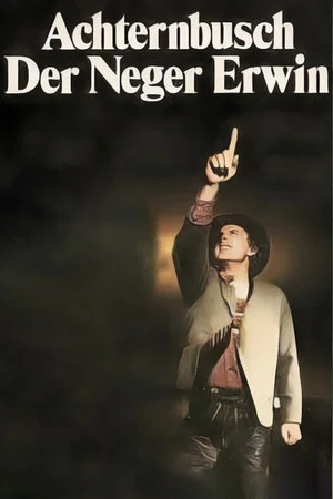 Постер: Der Neger Erwin
