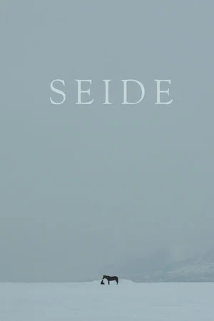 Постер: Seide
