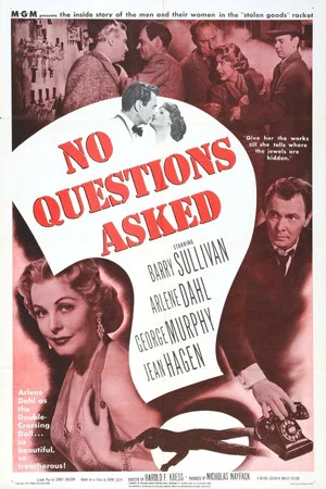 Постер: No Questions Asked