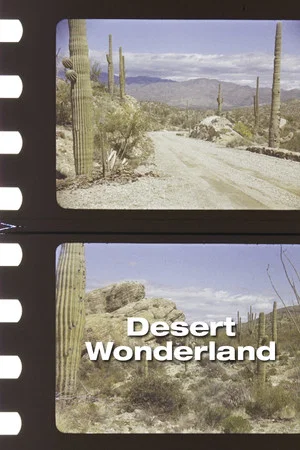 Постер: Desert Wonderland