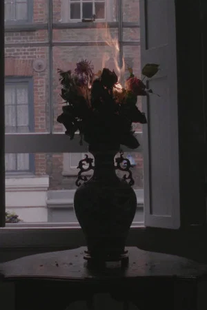 Постер: Limerence
