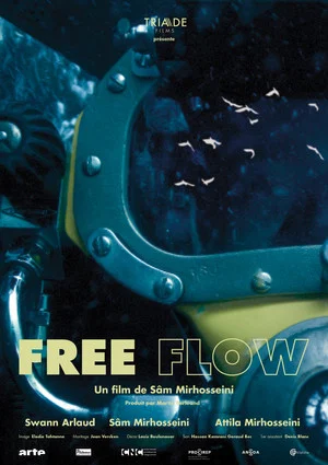 Постер: Free Flow