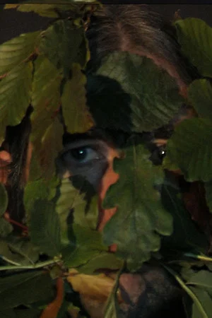 Постер: Green Man
