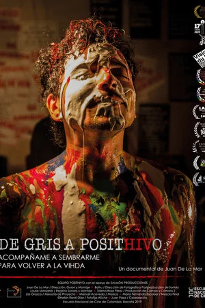 Постер: From Grey to PositHIVe