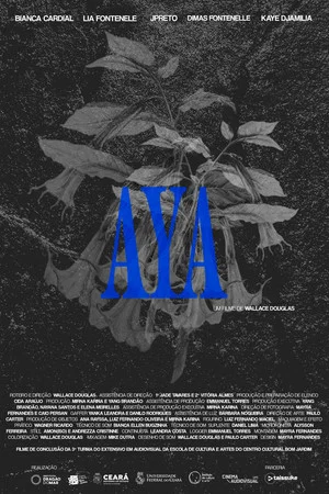 Постер: AYA