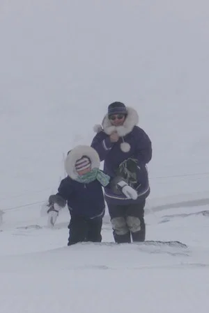 Постер: Names For Snow