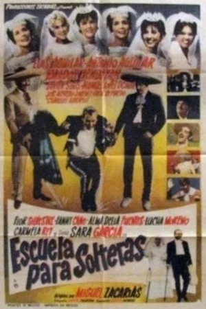 Постер: Escuela para solteras