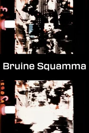 Постер: Bruine Squamma