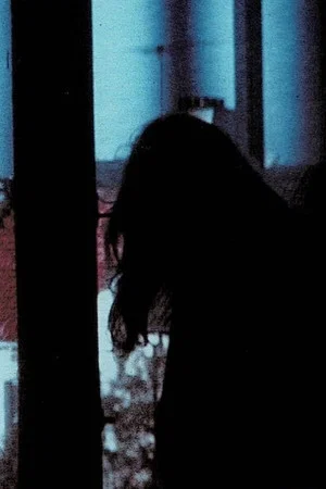 Постер: Window