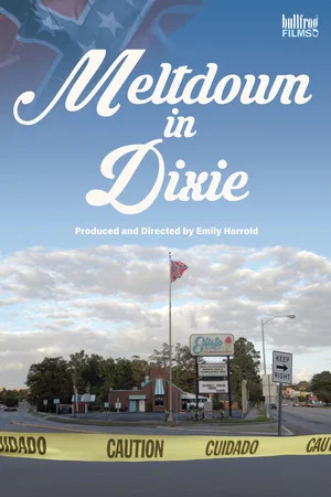 Постер: Meltdown in Dixie