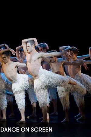 Постер: A History of Dance on Screen
